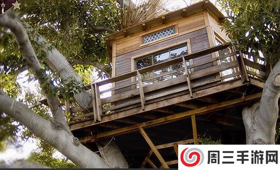 ex0橙光游戏之暴走千金