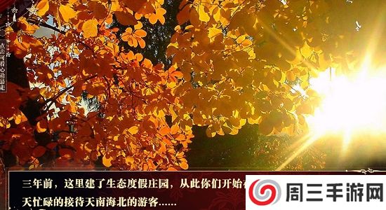 ex0橙光游戏之暴走千金