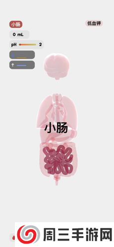 生命人体模拟器游戏