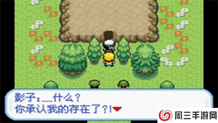 口袋妖怪：秩序的崩坏