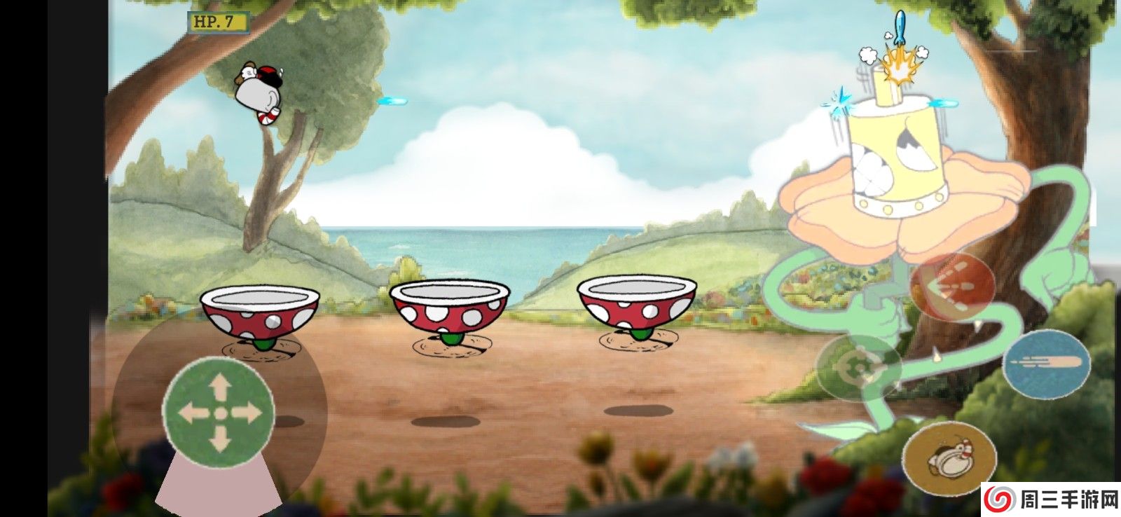 茶杯头卡格尼康乃馨